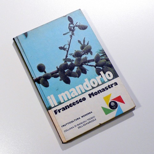 Francesco monastra mandorlo - francesco, il